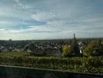 IMG_8736