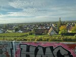 IMG_8741