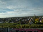 IMG_8742