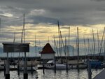 IMG_8904