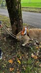 IMG_9330