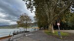 IMG_9336
