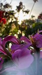 IMG_0180
