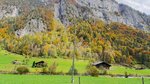 IMG_0240