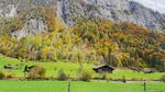 IMG_0241