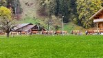 IMG_0246