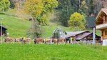 IMG_0247