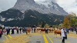 IMG_0249