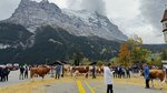 IMG_0250