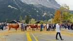 IMG_0252