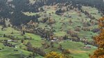 IMG_0258