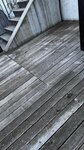 IMG_0566