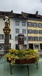 IMG_1484