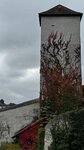 IMG_1508