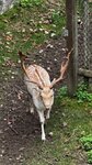 IMG_1514