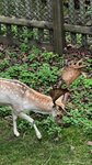 IMG_1515