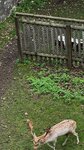 IMG_1516