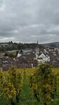 IMG_1533
