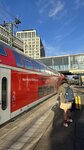 IMG_0178