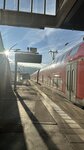 IMG_0182
