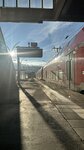 IMG_0183