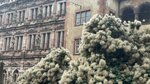 IMG_0509