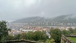 IMG_0511