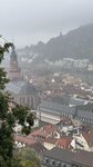 IMG_0512
