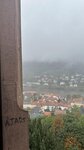 IMG_0516