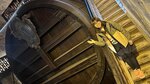 IMG_0547