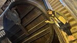 IMG_0548