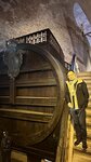 IMG_0556