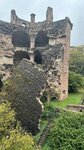 IMG_0597