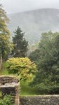 IMG_0599
