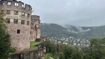 IMG_0604