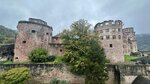 IMG_0605