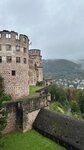 IMG_0606