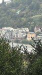 IMG_0618