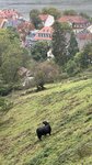 IMG_0621