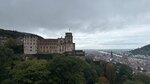 IMG_0629