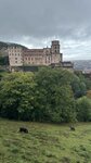 IMG_0630