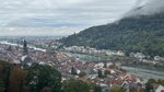 IMG_0655