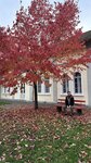 IMG_1724