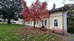 IMG_1726