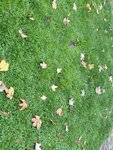 IMG_2194
