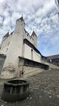 IMG_2210