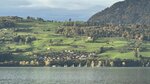 IMG_2411