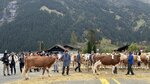 IMG_2873