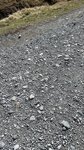 IMG_3246