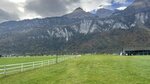 IMG_3452